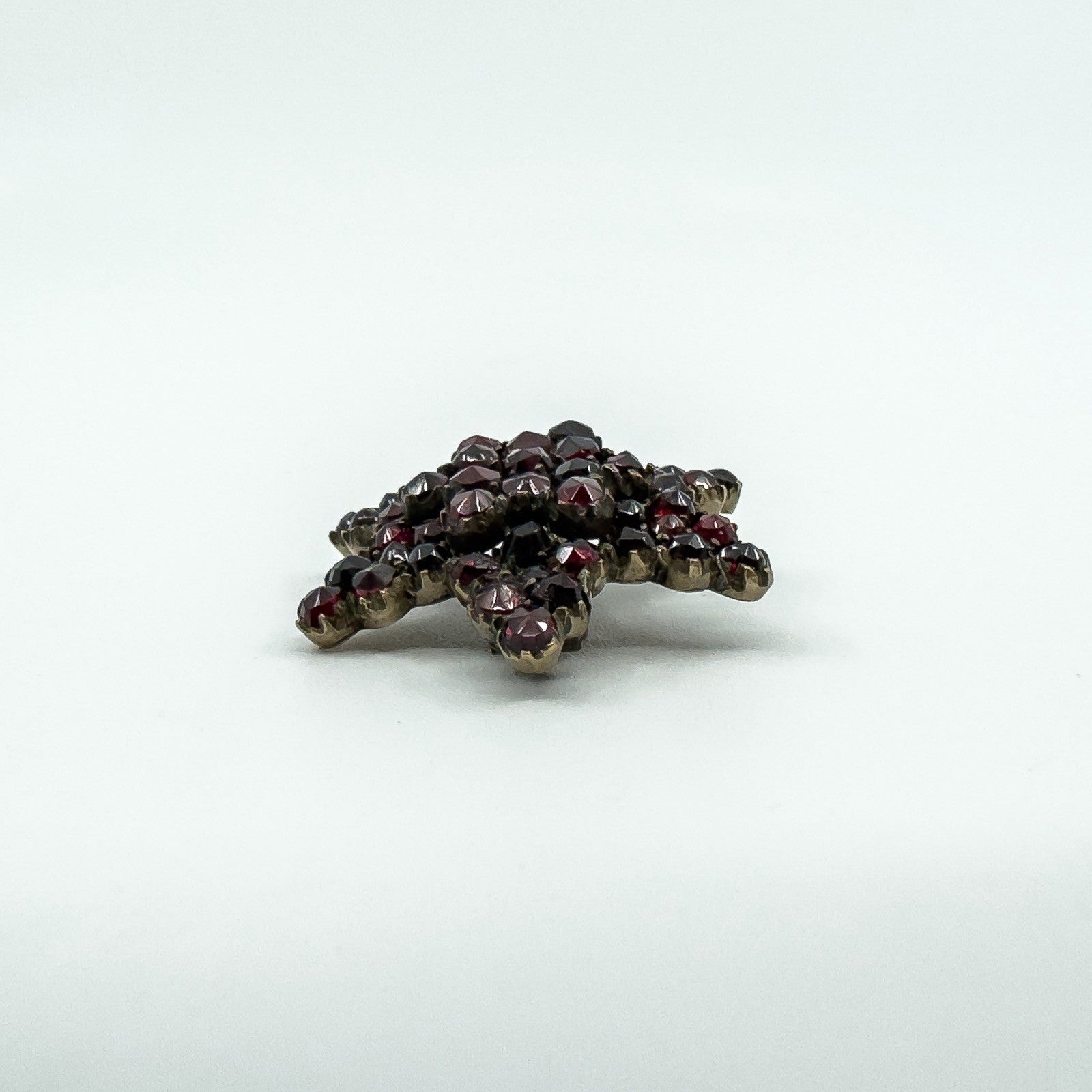 Antique Silver Gilt Bohemian Rose Cut Garnet Star Brooch