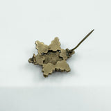 Antique Silver Gilt Bohemian Rose Cut Garnet Star Brooch