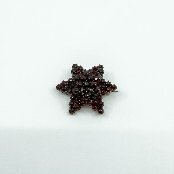 Antique Silver Gilt Bohemian Rose Cut Garnet Star Brooch