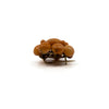 Antique Victorian 14ct Gold Natural Coral Brooch 585