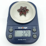 Antique Silver Gilt Bohemian Rose Cut Garnet Star Brooch