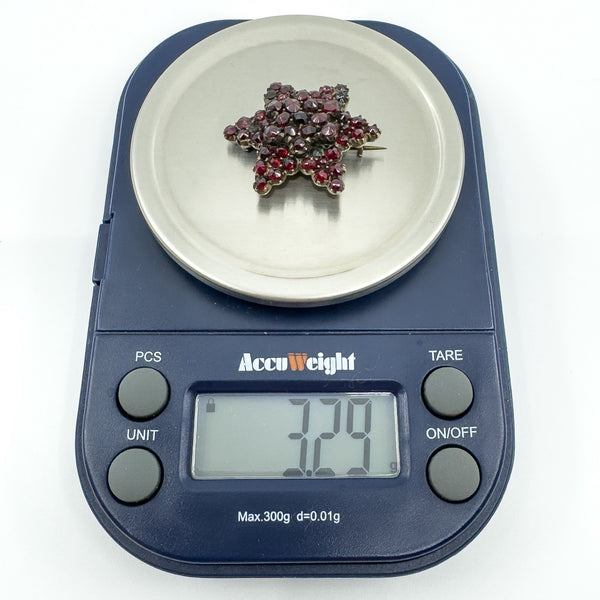 Antique Silver Gilt Bohemian Rose Cut Garnet Star Brooch