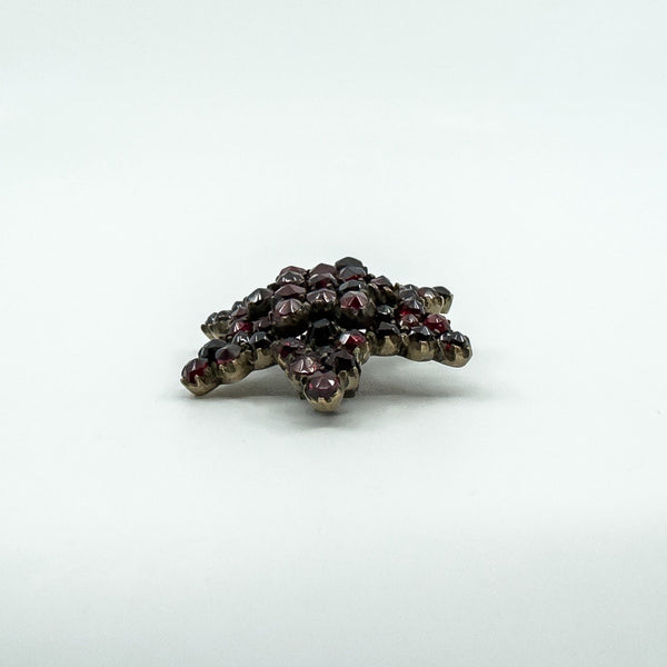 Antique Silver Gilt Bohemian Rose Cut Garnet Star Brooch