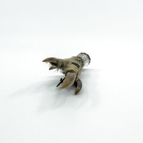 Victorian Sterling Silver Amethyst Lucky Grouse Foot Brooch 925