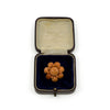 Antique Victorian 14ct Gold Natural Coral Brooch 585