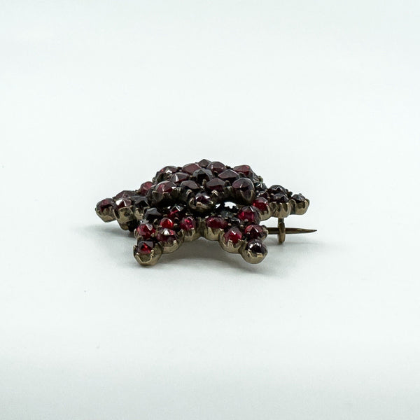 Antique Silver Gilt Bohemian Rose Cut Garnet Star Brooch
