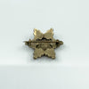 Antique Silver Gilt Bohemian Rose Cut Garnet Star Brooch