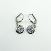 9ct White Gold 2ct CZ Leverback Drop Earrings 375